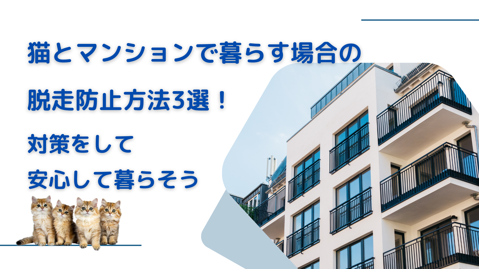 猫　マンション　脱走対策