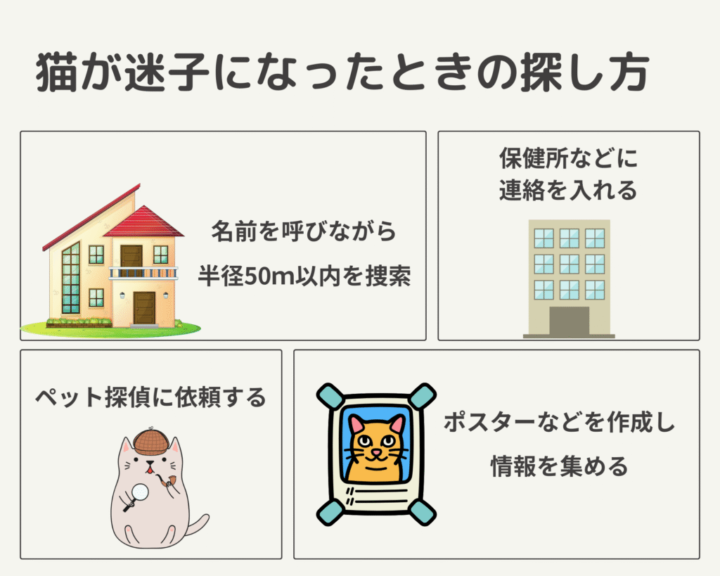 猫が迷子になったときの探し方4つ