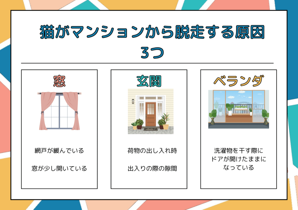 猫がマンションから脱走する原因は3つ