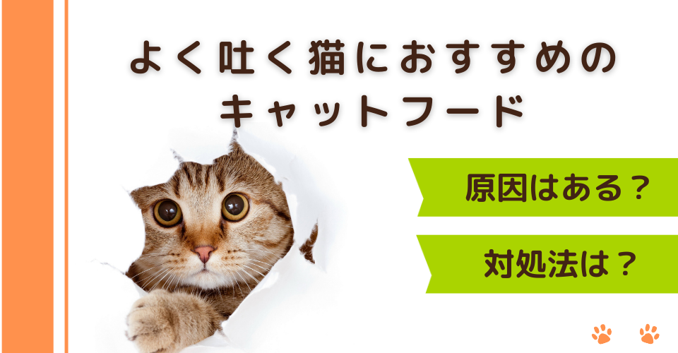 よく吐く猫におすすめのキャットフード