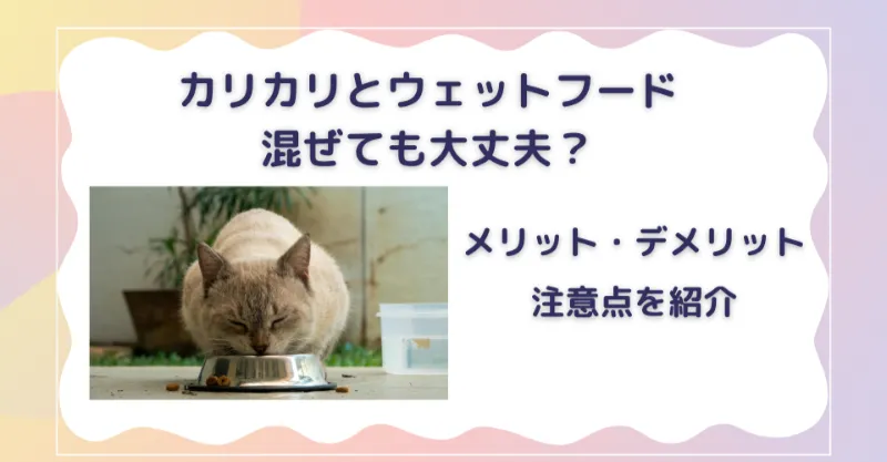 カリカリとウェットフードは混ぜても大丈夫?