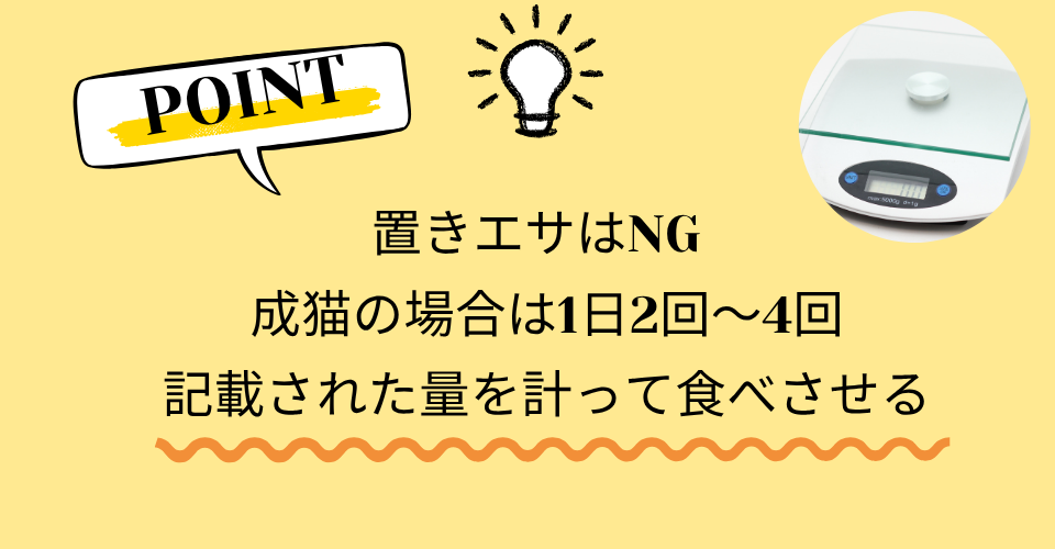 正しい量を食べさせる