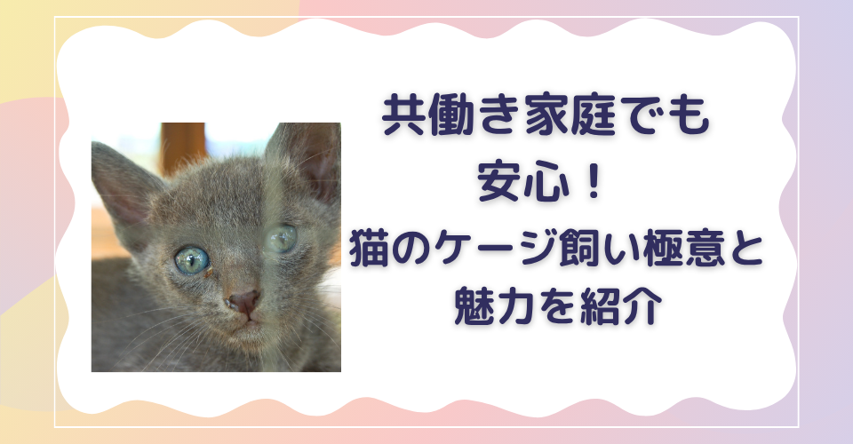 共働き　猫　ケージ飼い