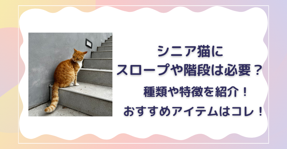 シニア猫　スロープ　階段