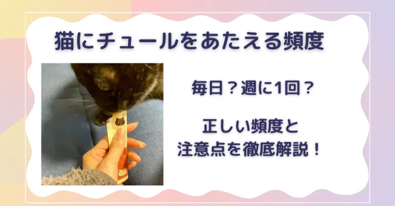 猫にチュールを与える頻度