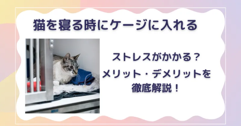 猫　寝るとき　ケージに入れる