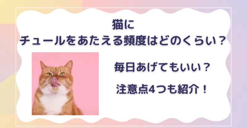 猫にチュールを与える頻度はどれくらい