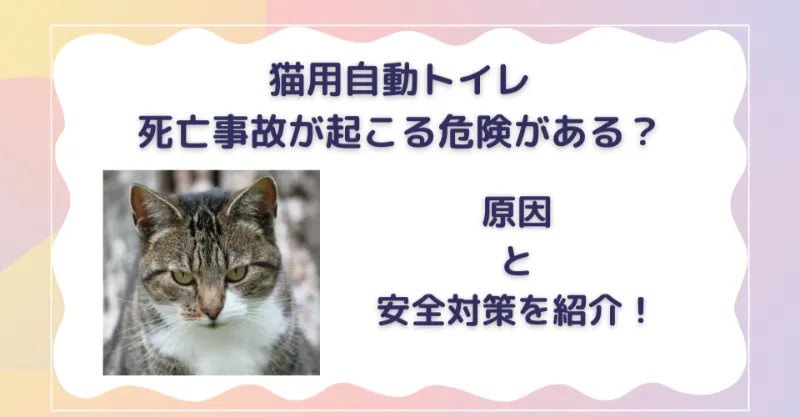 猫用自動トイレは死亡事故が起こる危険がある？