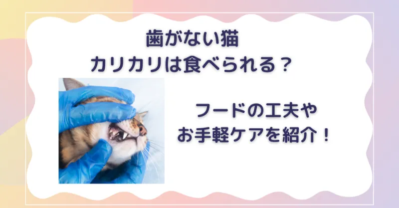 歯がない猫はカリカリを食べられる