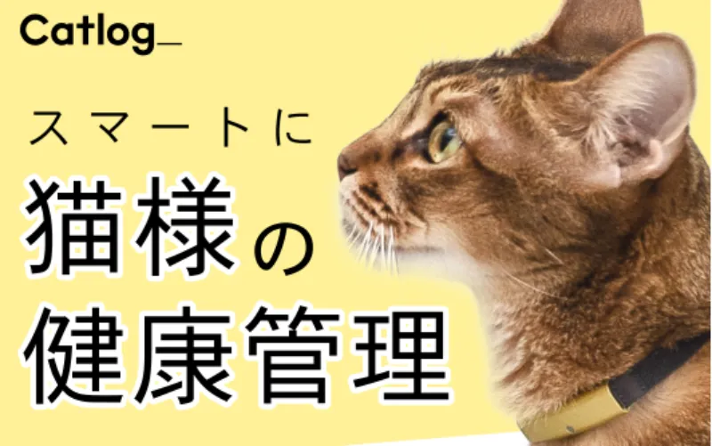 キャットログ　デメリット