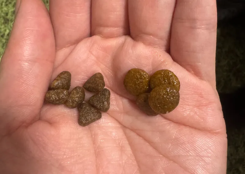 グランツ　ロイカナ　粒の大きさ比較