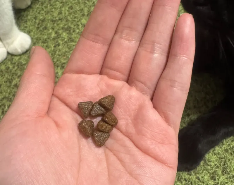 グランツの粒の大きさ