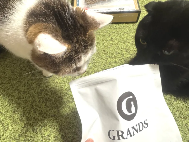 グランツを開封