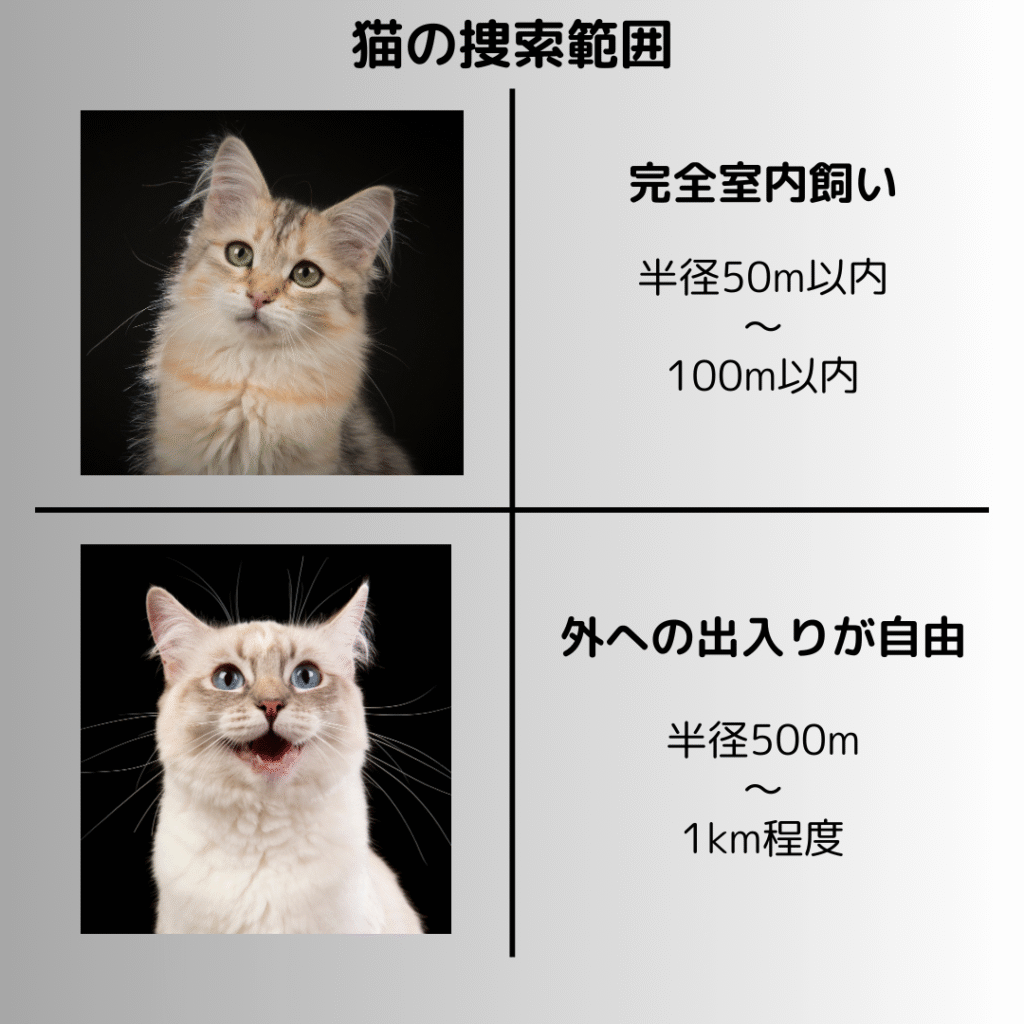 猫の捜索範囲