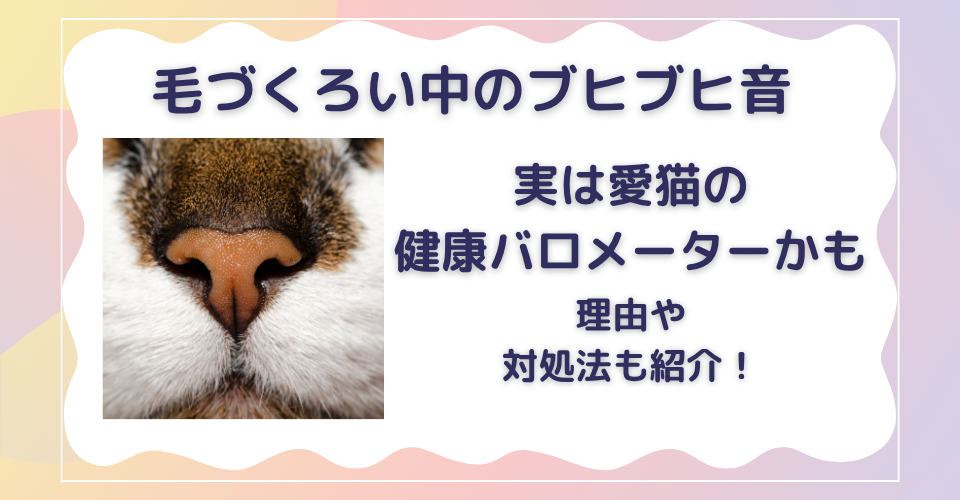 猫　毛づくろい　ぶひぶひ