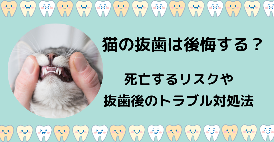 猫の抜歯は後悔する？