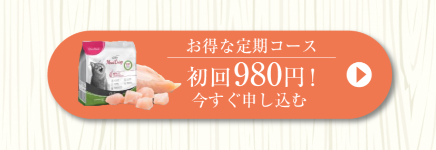 初回980円　今すぐ申し込む