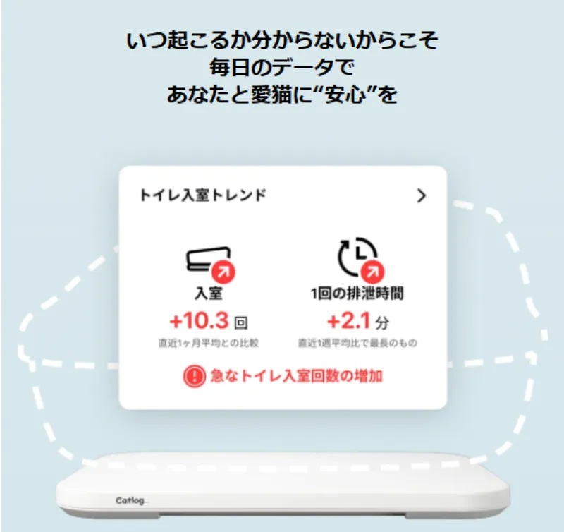 キャットログボード