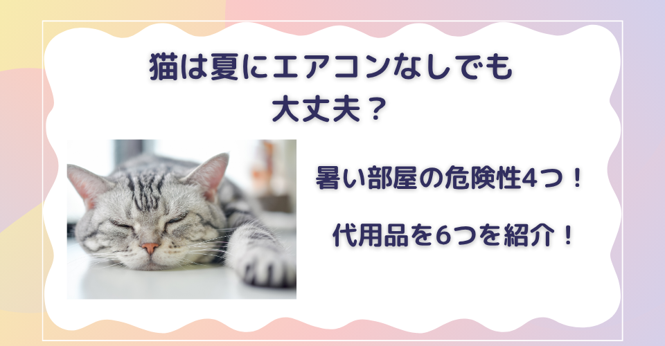 猫は夏でもエアコンなしで大丈夫？