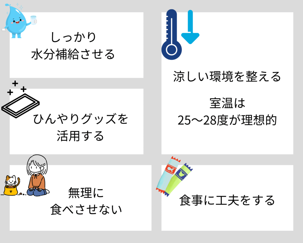 猫が夏バテになったときの対処法5つ