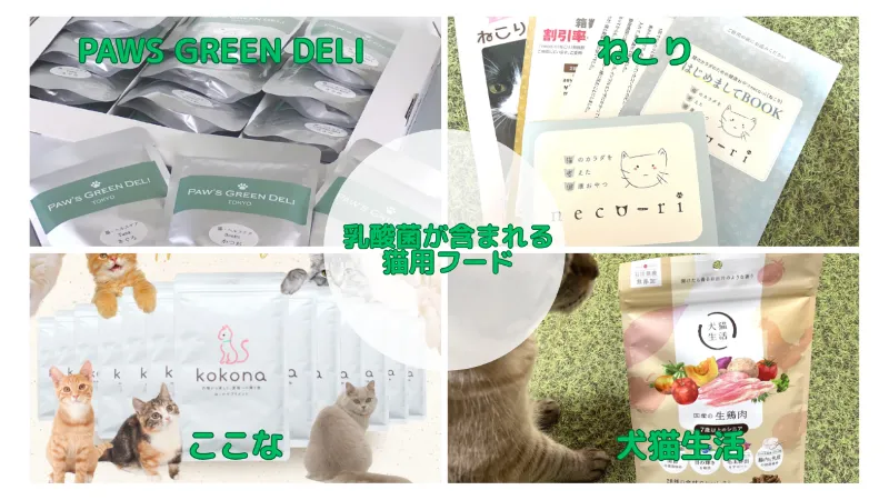 乳酸菌が含まれる猫用フード4選