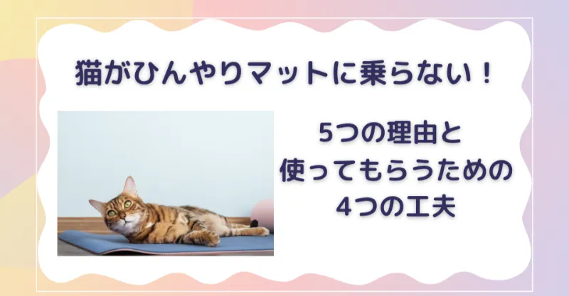 猫がひんやりマットに乗らない理由