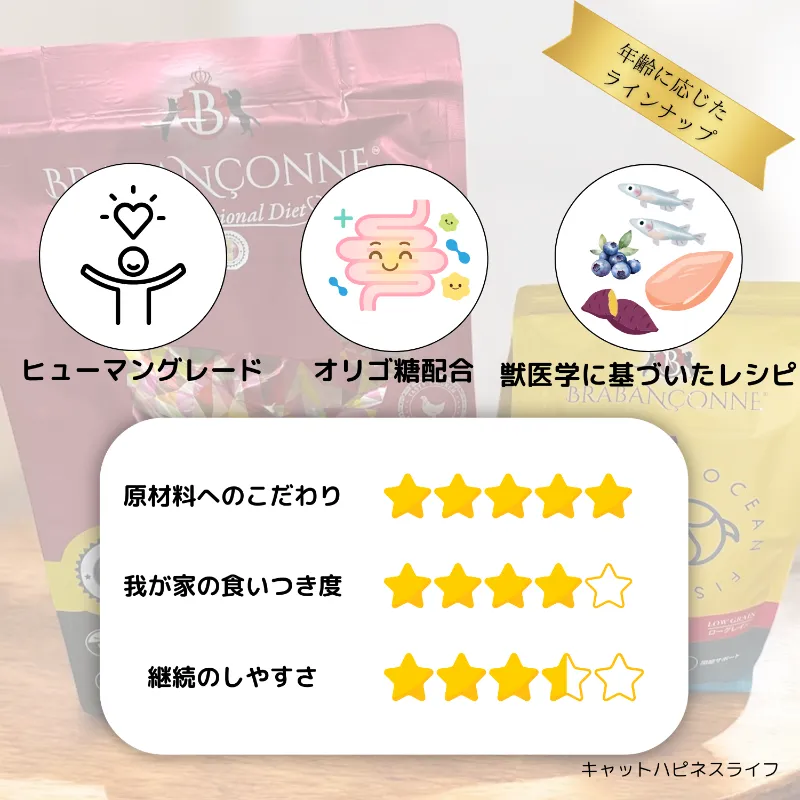 ブラバンソンヌ