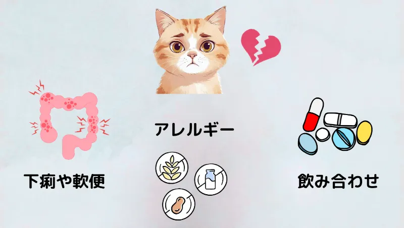 猫に乳酸菌をあげるデメリット3つ