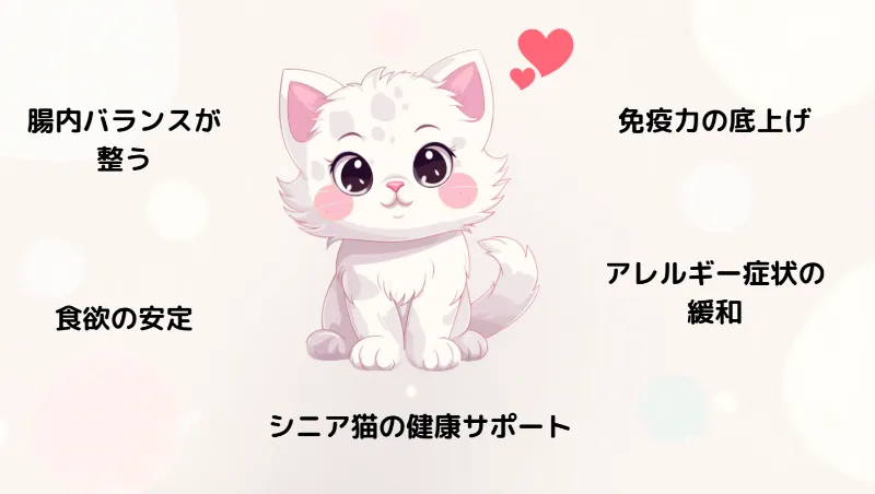 猫に乳酸菌をあげると期待できる効果5つ