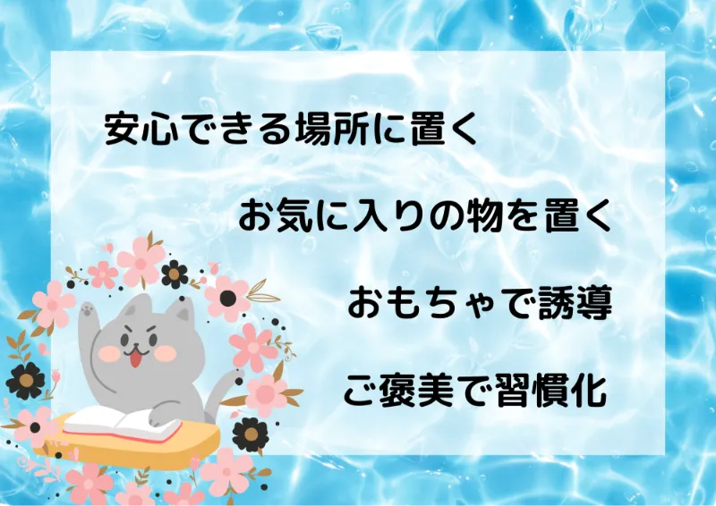 猫にひんやりマットを使ってもらうための4つの工夫