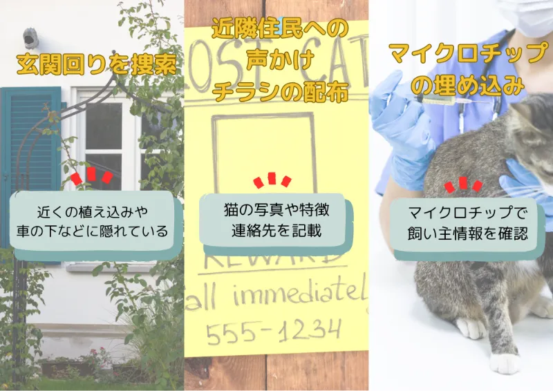 猫が脱走してしまったときの対処法