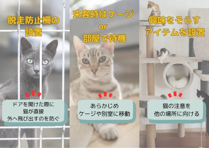 広い玄関でもできる猫の脱走防止対策3選
