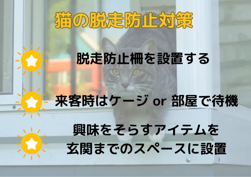 猫の脱走防止対策