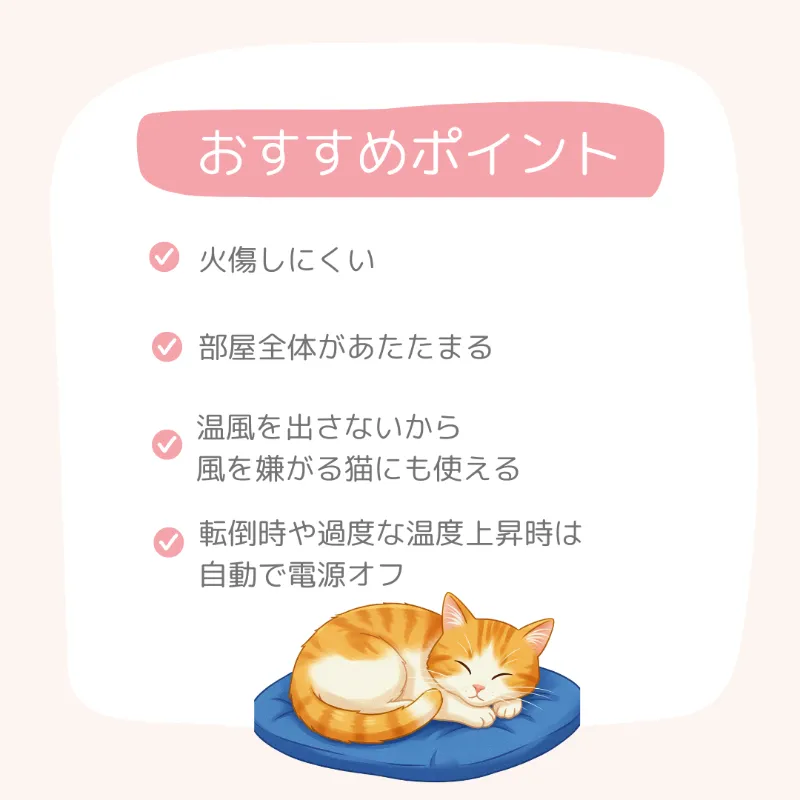 ケノンヒータースグダンのおすすめポイント