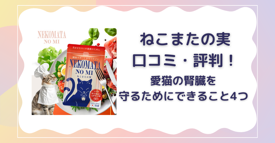 ねこまたの実　口コミ・評判