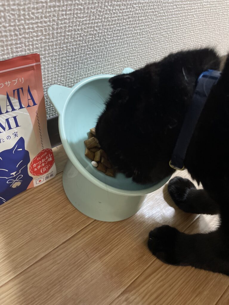 ねこまたの実　残す