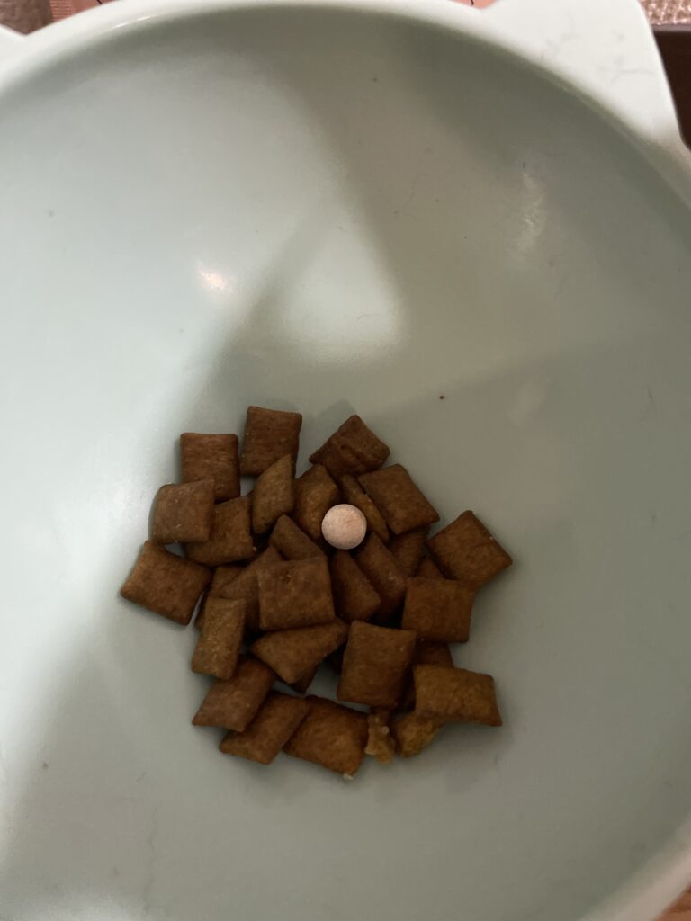 ねこまたの実　残す