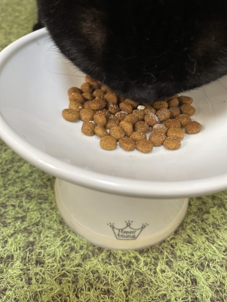 ねこまたの実　砕くと食べた