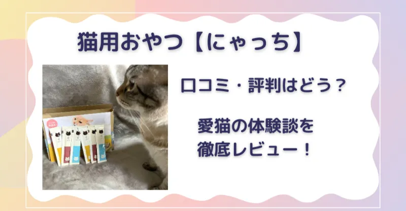 にゃっち 口コミ 評判