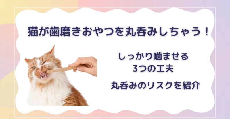 猫が歯磨きおやつを丸呑みする